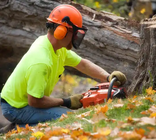 tree services Winsted